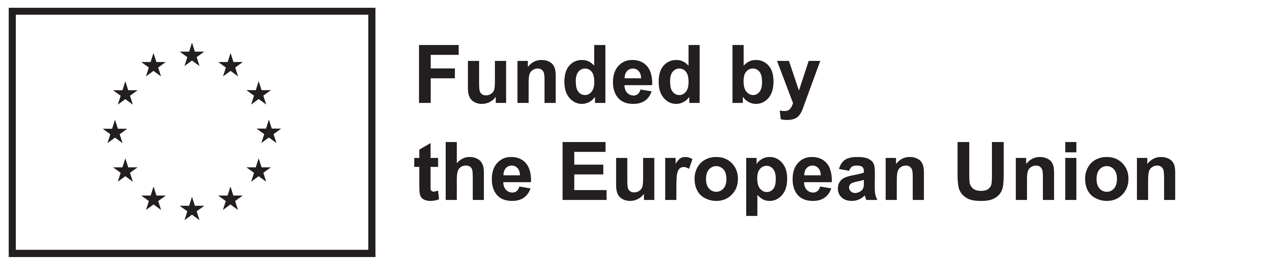 european flag